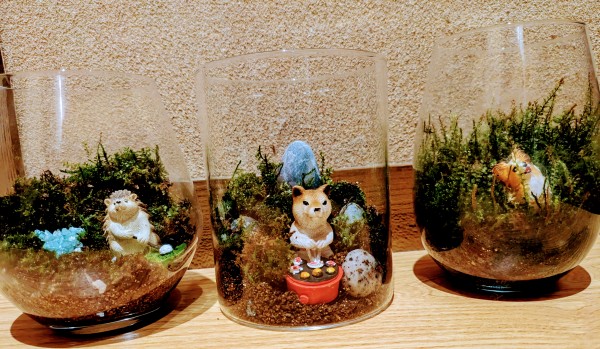 苔テラリウム~サムネイル